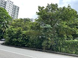 Balmoral Park (D10), Detached #457910291